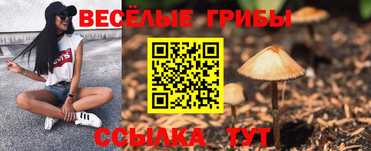 Галлюциногенные грибы Psilocybe  Вход с VPN  Ефремов 